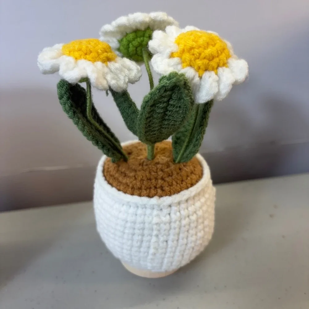 Handmade Crochet Positive Daisy Potted Plant Thank You Gift Desk Decor Nurse
